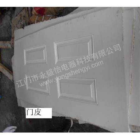 Door skin